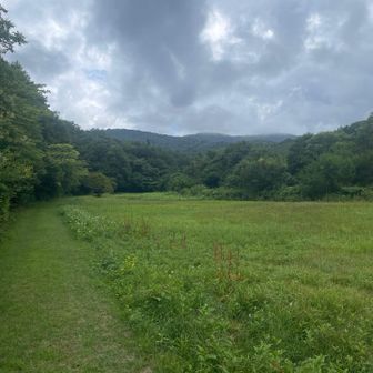 広々とした高原、心地よい