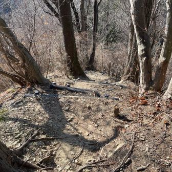二千階段降りがキツイ
整備は◎ですが、急なので注意