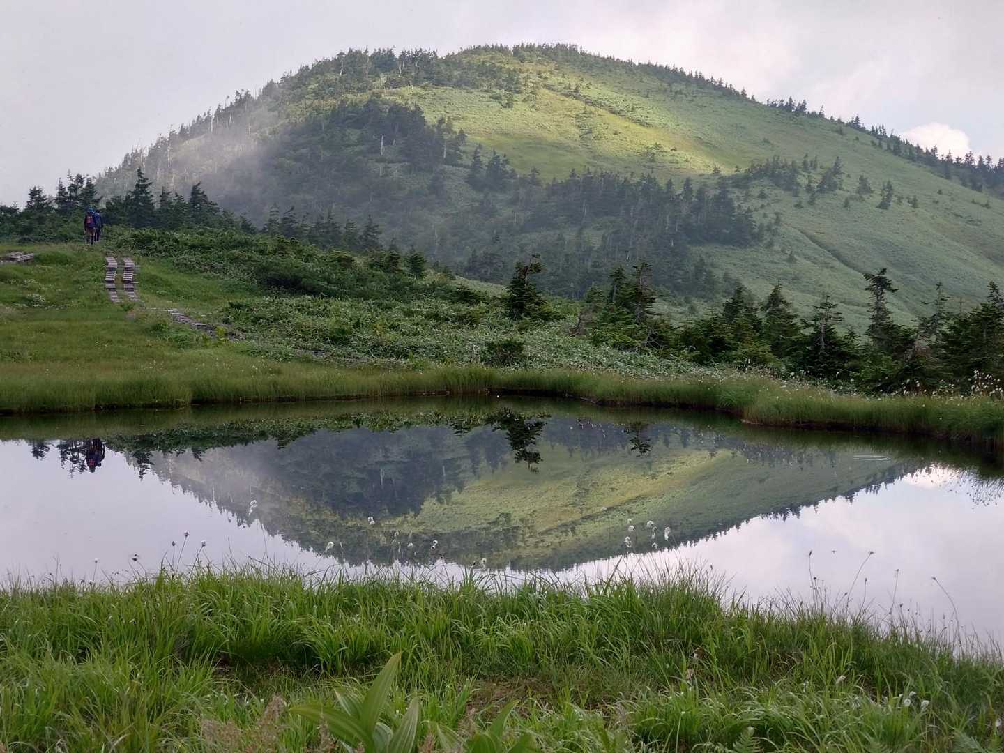 滝沢登山口-駒ノ大池-会津駒ヶ岳 往復コースの写真
