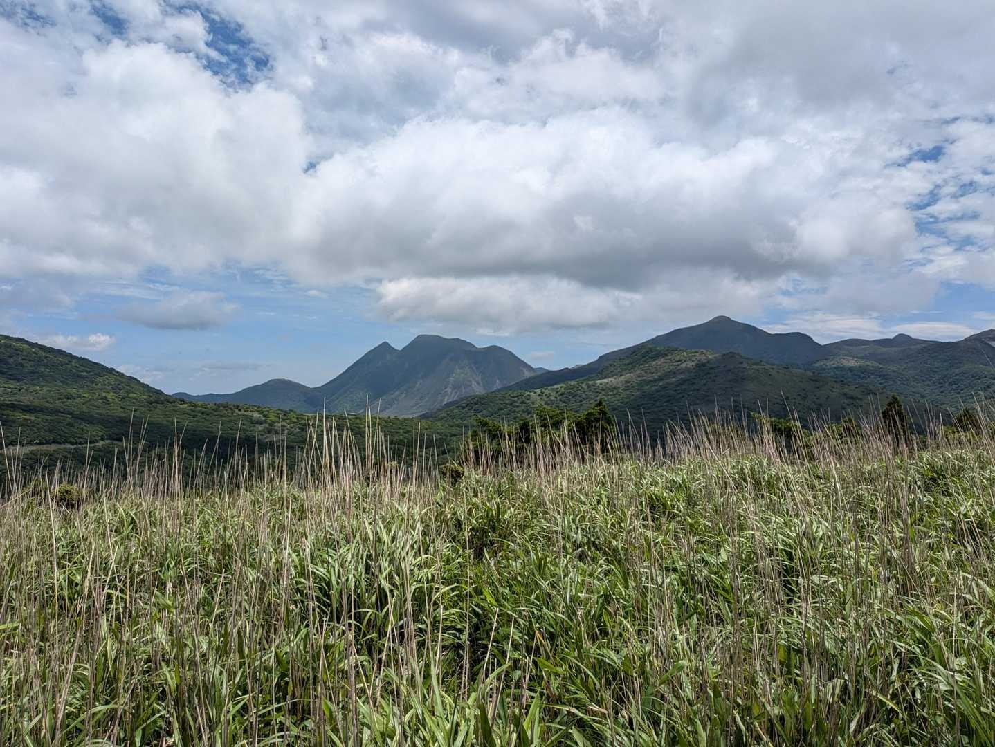 素敵〜見えて来た久住連山