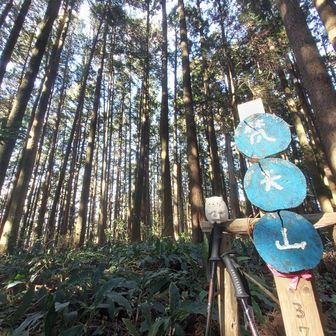 本日のラスボス、なんとか到着。名前はかわいいのに。