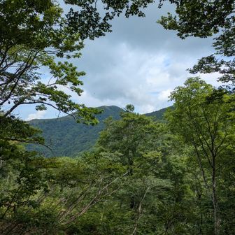 行く先に少し景色が見えた