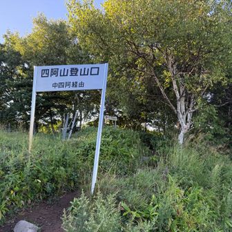 いざ！