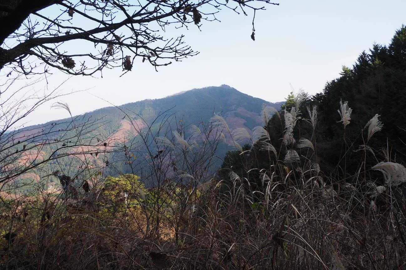 たぶん、笠山