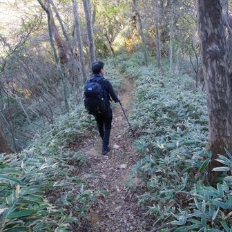 歩きやすい道になりました。