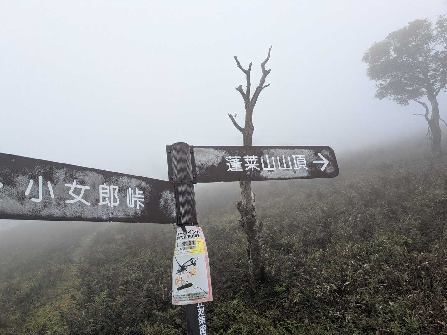 蓬莱山 往復 | 琵琶湖を見下ろす天空の稜線、比良最南端の絶景トレイルへの写真