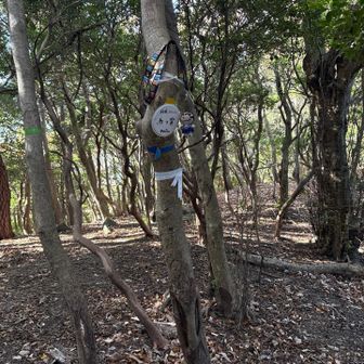 二座目　馬ノ背(グレー)     405m
黄色跡と、ピンテに導かれて来ました！
鈴鹿三百山❗️
目指してないけど😅

痩せ尾根のアップダウンでした。😆