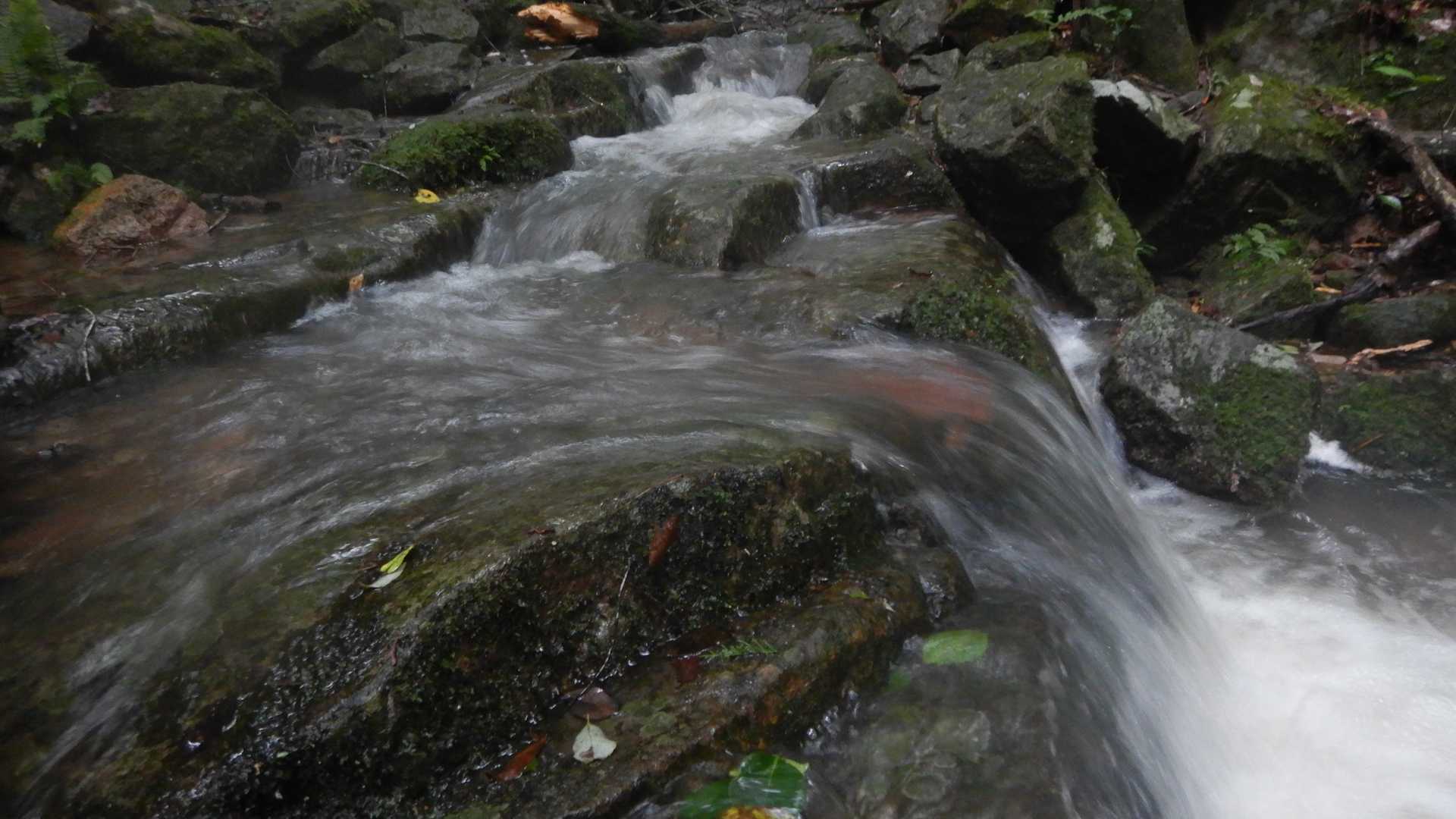 台風一過で沢は増水しています。