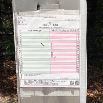 ちなみに三宮行き２５系統市バス　４月から
１１月末、土日のみ運行してます。ここは二本松バス停　大龍寺前のひとつ南のバス停です。

時刻表になにか虫が挟まってる🫣