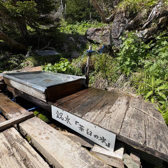 銘水です😊