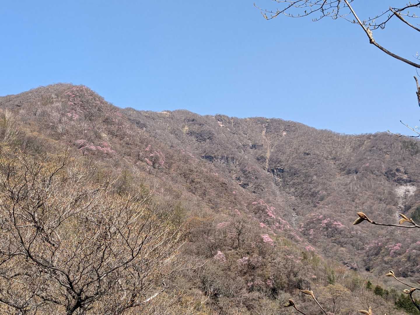 山のいたる所が、赤く染まっています。
