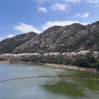 戻りました。
おつかれやま⛰️🌸

