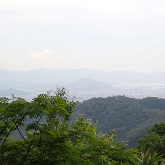 またまた・・和歌山側の景色！！