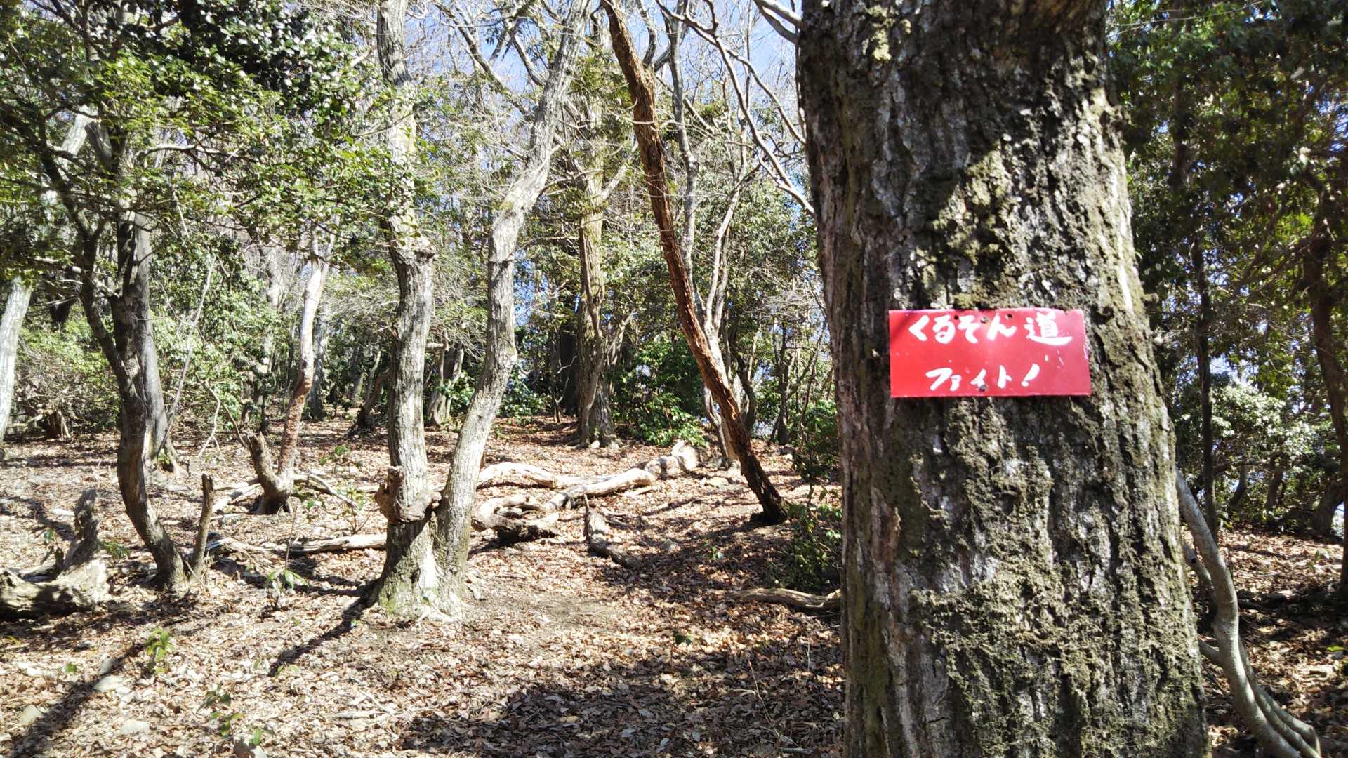応援してくれてありがとう
暑いよう～☀️