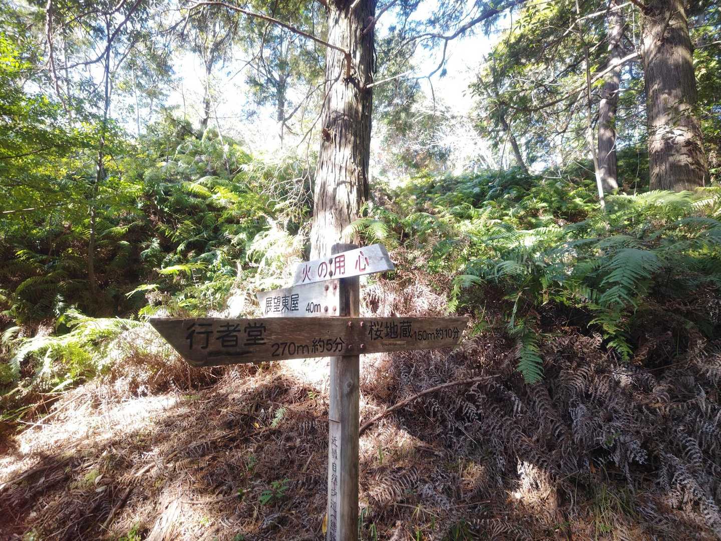 馬越峠-天狗倉山 往復コースの写真
