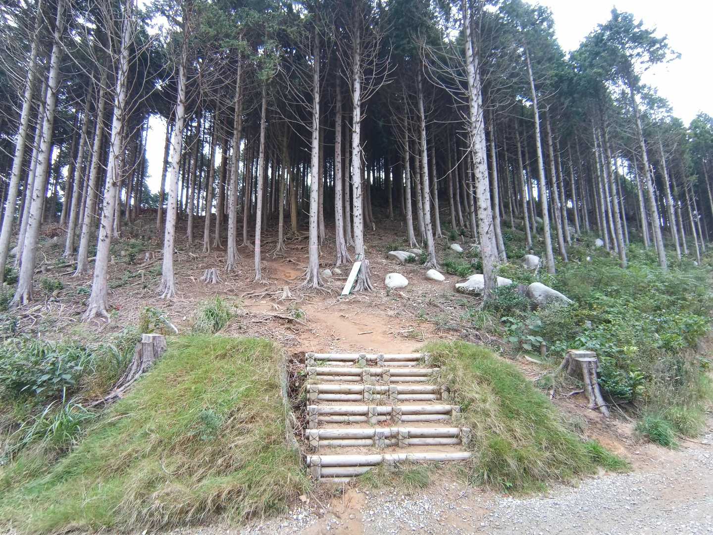 二丈岳 往復 | 沢沿いを涼しく歩き、山頂の巨岩から糸島の絶景を楽しむの写真