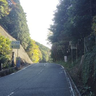 前回はまむしの湯まで周回したけれど、今日はここにバスが待機。