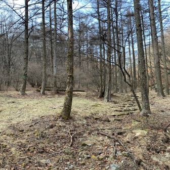 広い所。ゴールが近い？