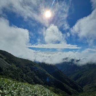 このあとだんだんとガスに包まれる