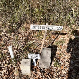 四方津御前山460m登頂🙌