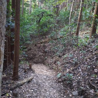 下山は楽なんだけど苦手です💧