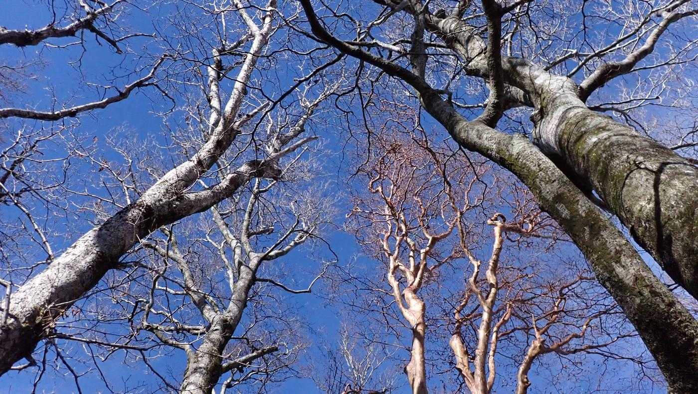 紫外線が強く、顔が焼けたのが分かる。