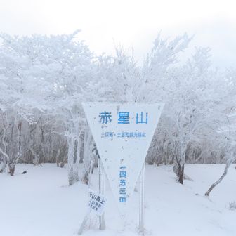 赤星山登頂！
マイナス5度