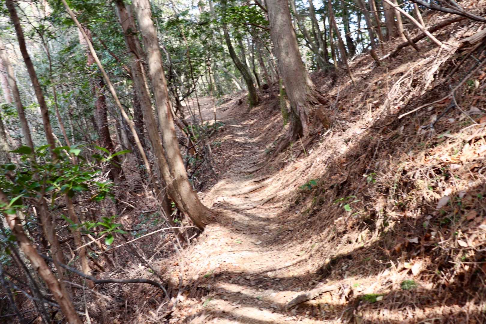 木の影がキレイ。
誰にも会わないなぁ。