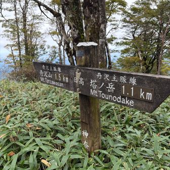 丹沢山へ。