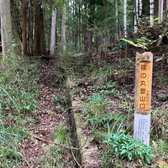 山頂からの下り、ザレた急斜面で2回尻餅をつきましたが無事に山﨑西小学校横の登山口に下山出来ました！