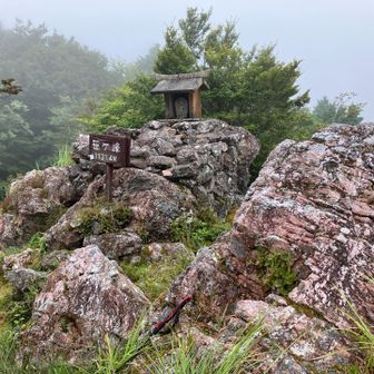 岩のピンクがいい色です。