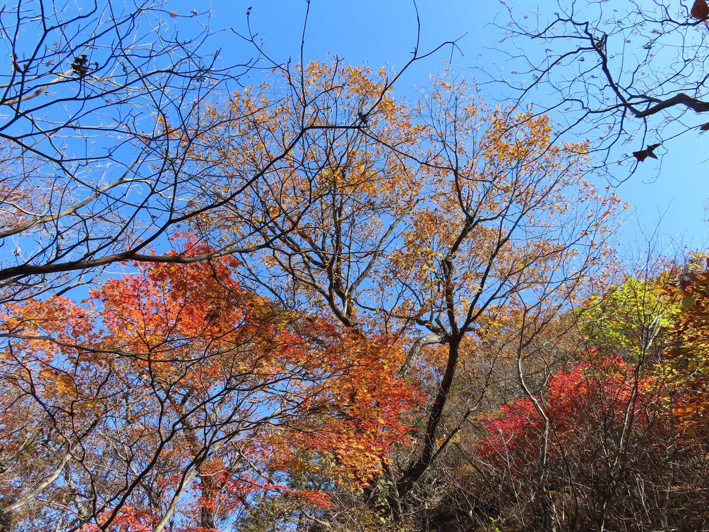 妙義山 往復コースの写真