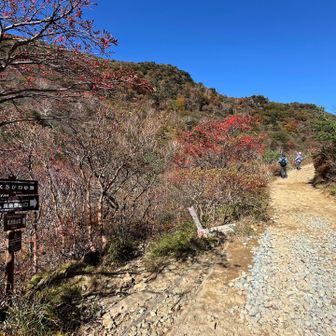 お腹すいてるのと、トイレに行きたいので急いで下山して塩沢ルートへの分岐まで一気に下ってきました