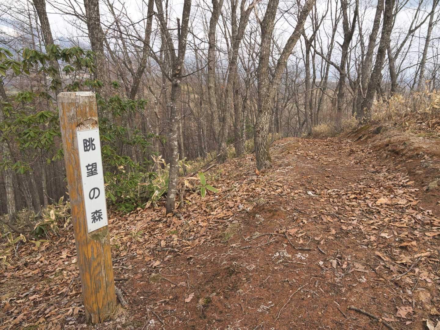 山頂