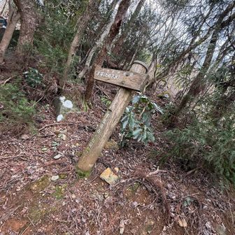 撮りたいものは撮る
走りたい時は走る
自由！