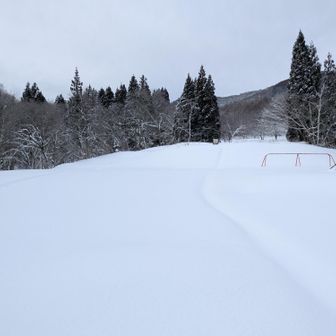 YAMAPではここがスタート地点だが、トレース埋まってます