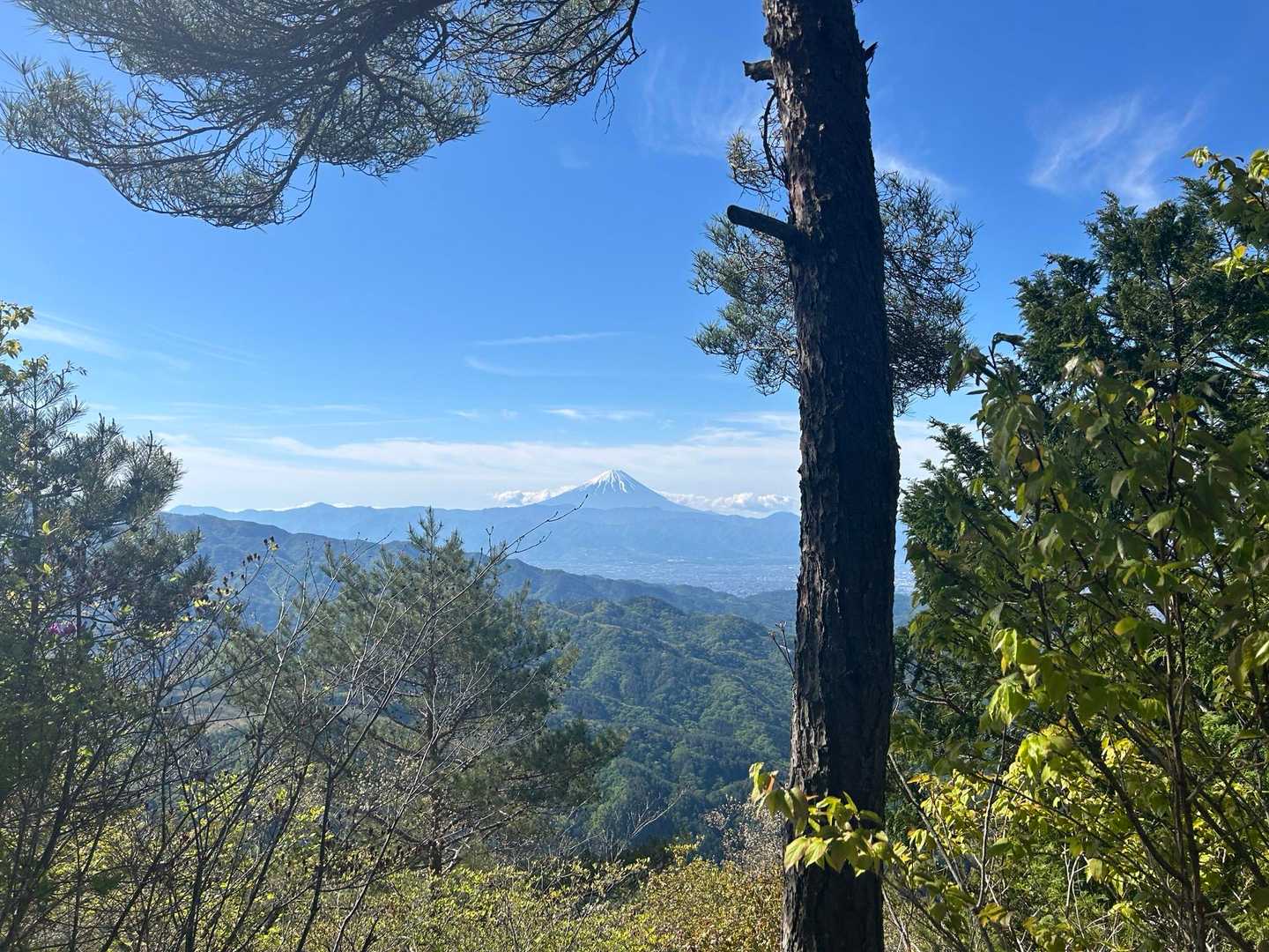 太刀岡山-越道峠-鬼頬山-黒富士-升形山-八丁峠-曲岳-曲 縦走コースの写真