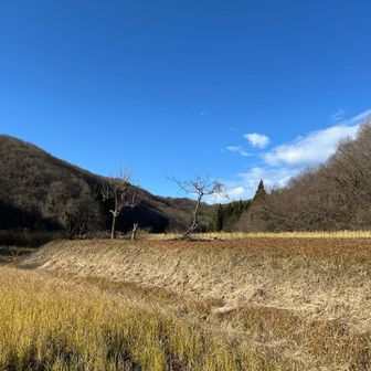 いい天気☀️眺望期待出来る✨