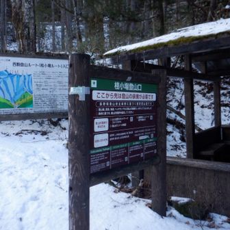 ガーと下って桂小場登山口🪧