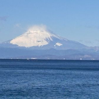 昨日の雪で裾野まで冠雪
