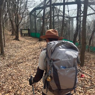 足元ふわふわで歩きやすい🚶‍♂️
カブトムシドームを通過し