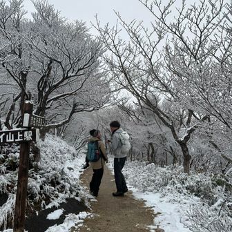 人には人の乳酸菌