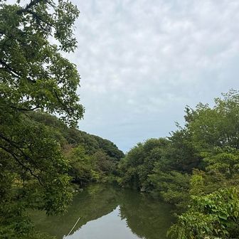                                    三井池💚
