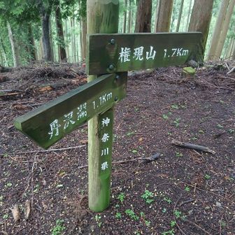 尾園ノ頭