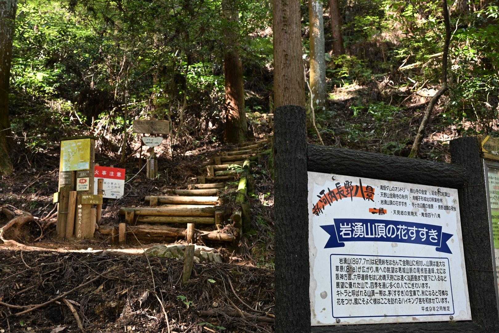 登山口　急坂の道へ