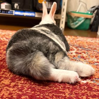 なっちゃん