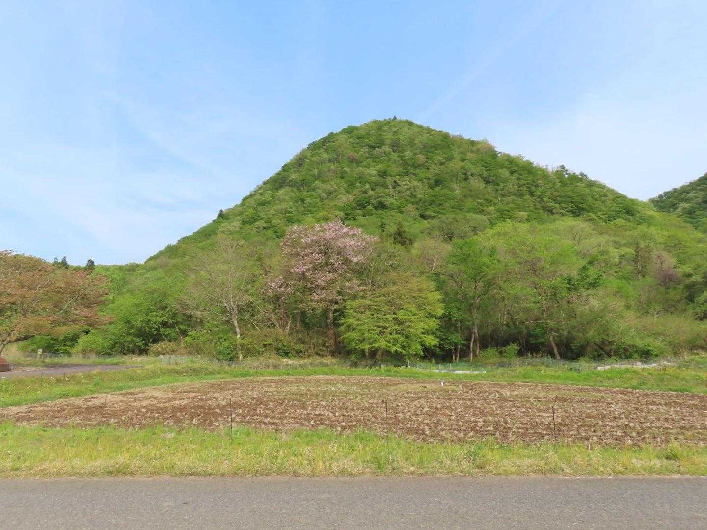 たがら森