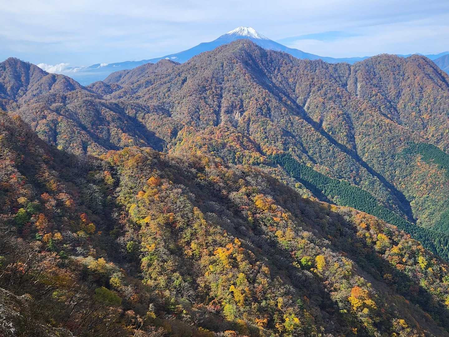 山肌の黄葉紅葉🍁見頃です