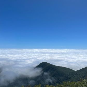 頂上から雲海