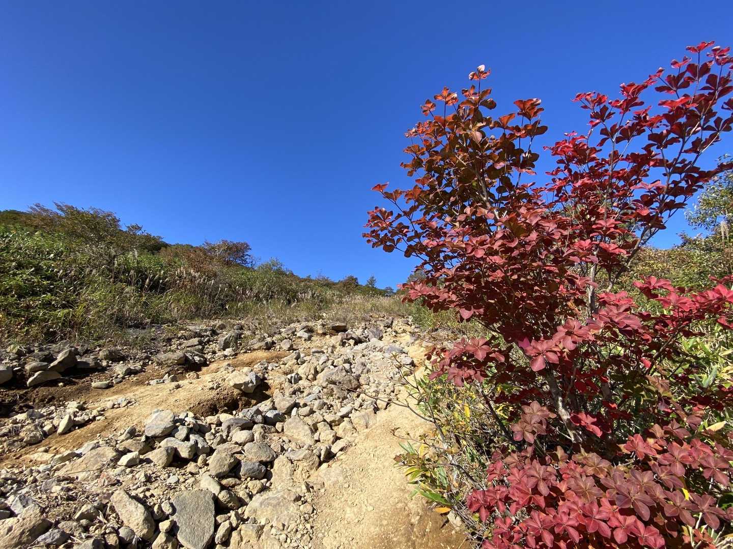 旧白河高原スキー場登山口-赤面山-前岳 往復コースの写真